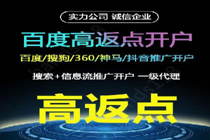 百度竞价公司运营策略：成功案例解析